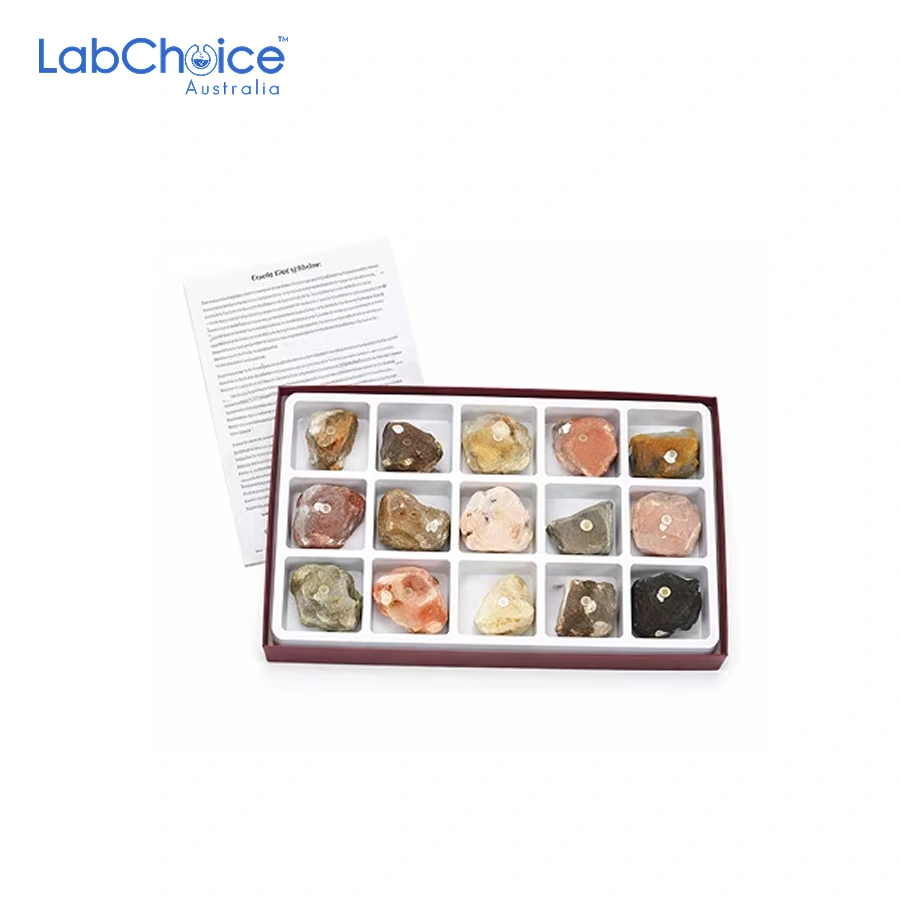 Rock Mineral and Fossil Specimens Pack of 10 LabChoice Australia