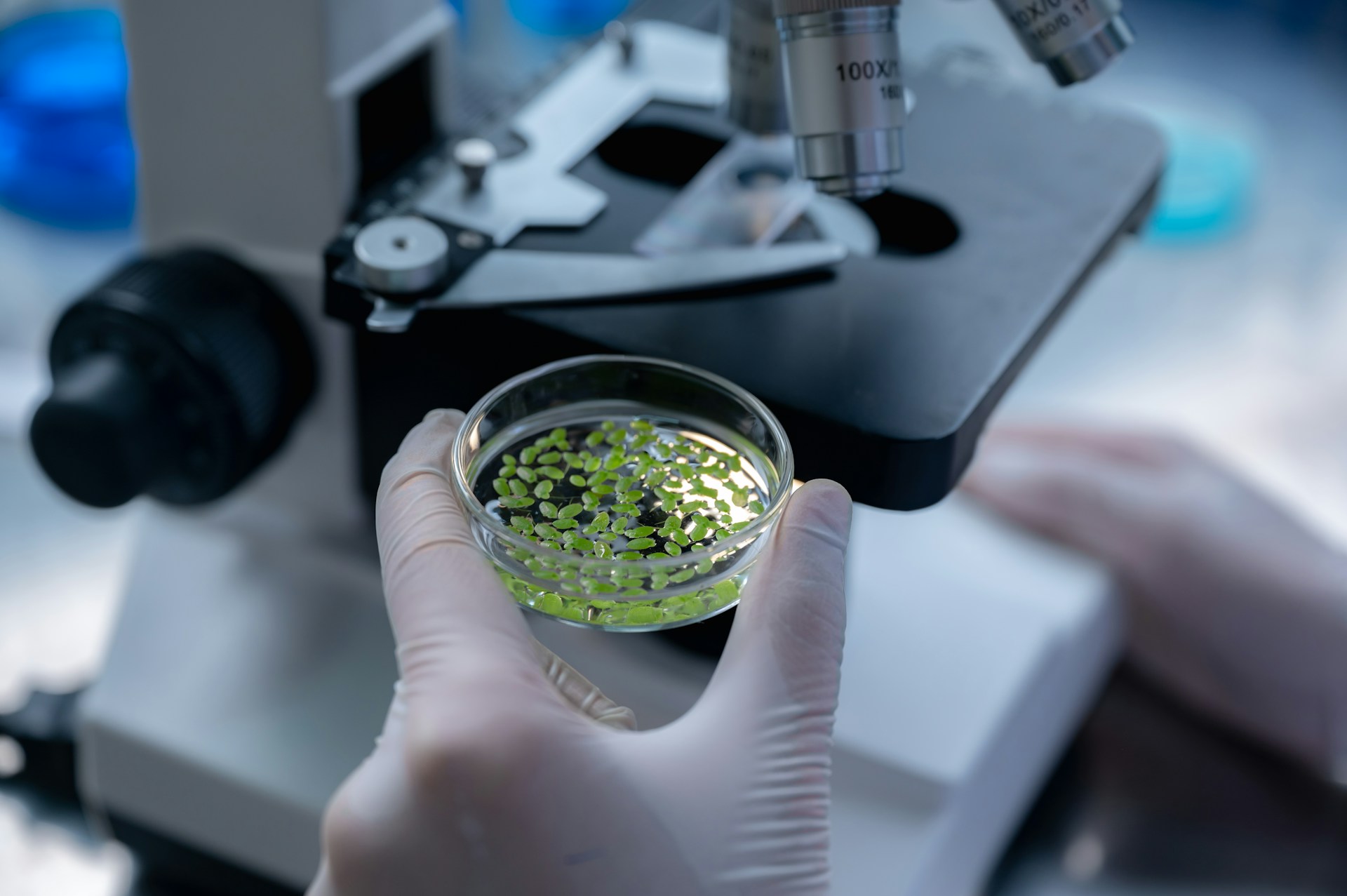 microbiology