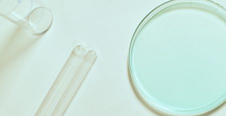petri dish