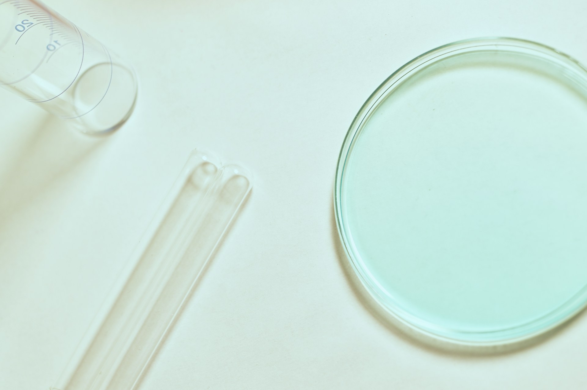 petri dish