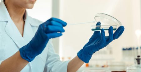 petri dish