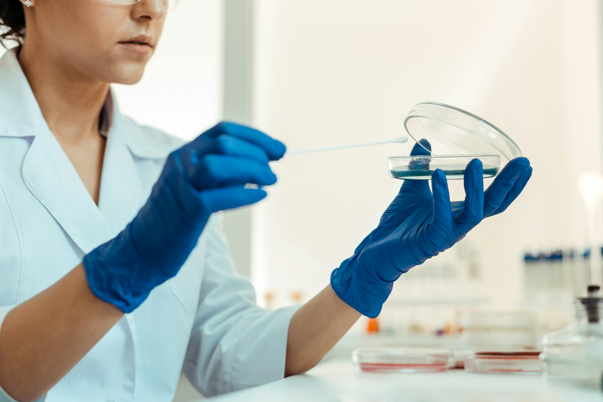 petri dish