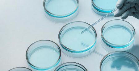 petri dishes