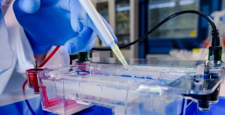 lab electrode
