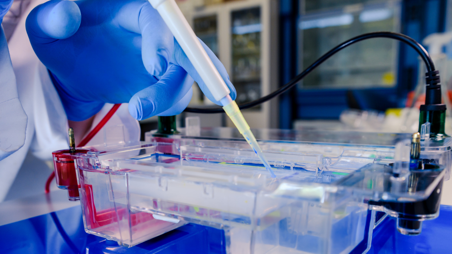 lab electrode