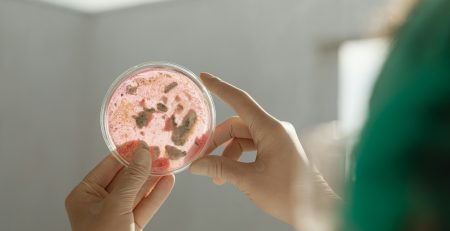 microbiology