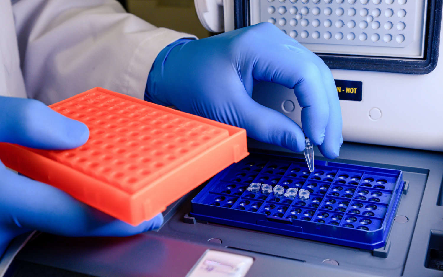pcr plate sealing