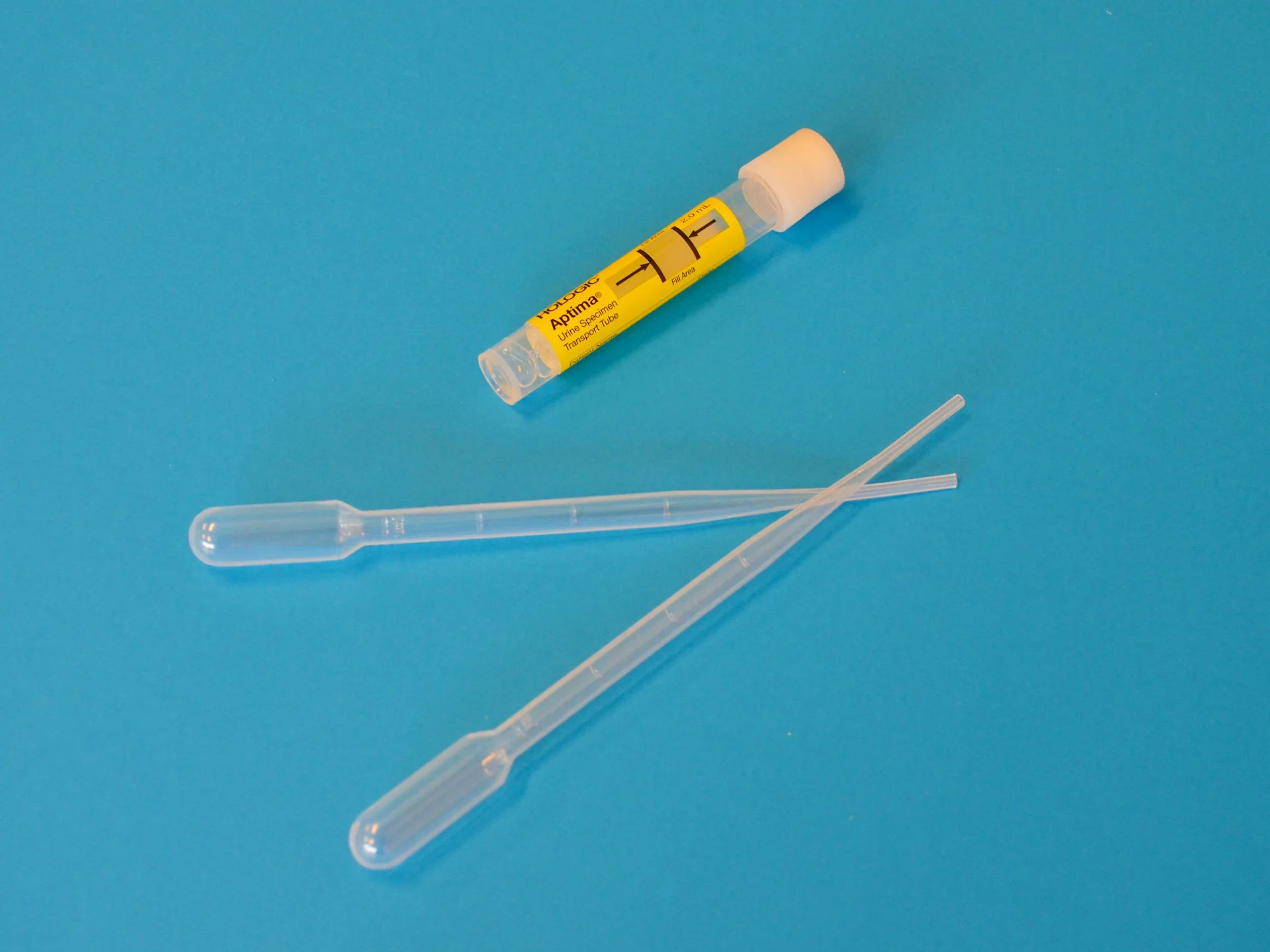 disposable labware