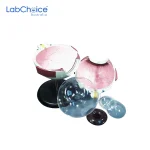 Biological Eye Model 6x Enlarged 6 Parts on Stand LabChoice Australia