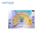 General Sound Spectrum Wall Chart LabChoice Australia