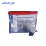 Magnetic Field Demonstrator Cavity Type Kit LabChoice Australia
