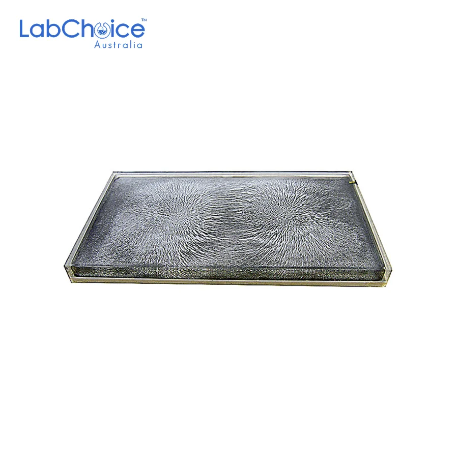 Magnetic Field Demonstrator Oil Filled Flat Form LabChoice Australia