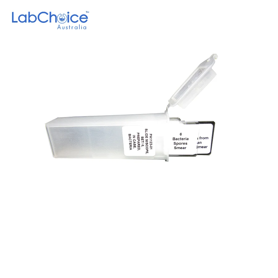 Prepared Bacteria Microscope Slide Set, 6 Slides-LabChoice Australia Prepared Bacteria Microscope Slide Set 6 Slides LabChoice Australia