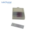 Prepared Biology Microscope Slide Set 25 Slides LabChoice Australia
