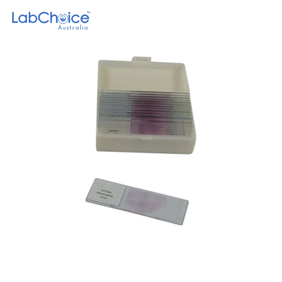 Prepared Biology Microscope Slide Set, 25 Slides-LabChoice Australia Prepared Biology Microscope Slide Set 25 Slides LabChoice Australia