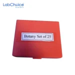 Prepared Botany Microscope Slide Set 25 Slides LabChoice Australia