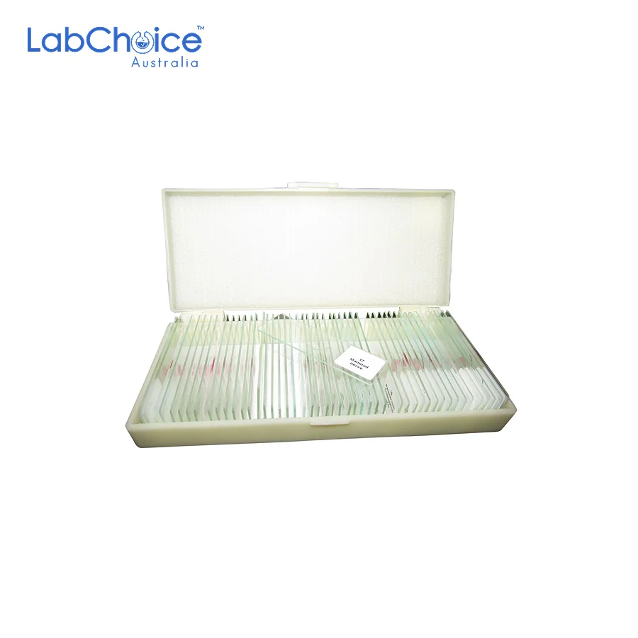 Prepared Zoology Microscope Slide Set-LabChoice Australia Prepared Zoology Microscope Slide Set LabChoice Australia