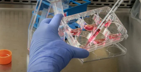 disposable labware