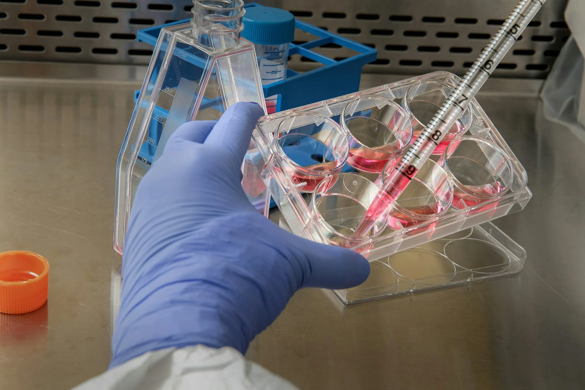 disposable labware
