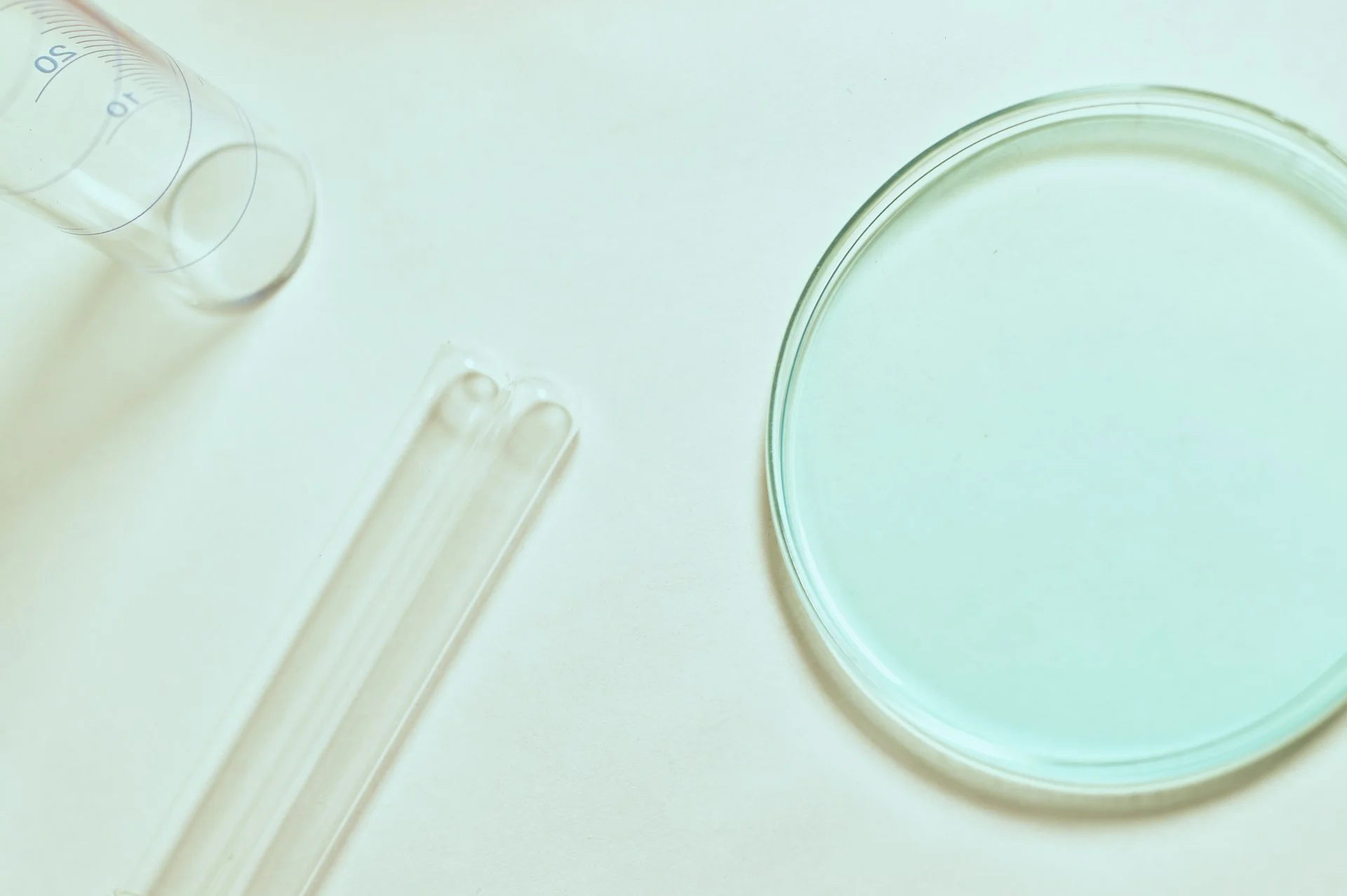 disposable labware