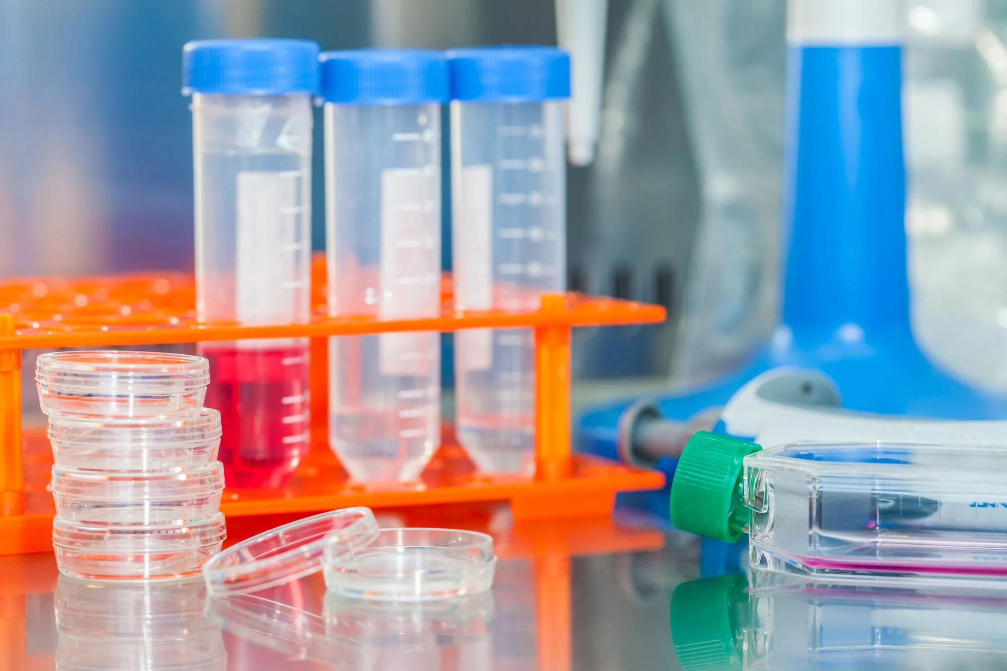 lab plasticware