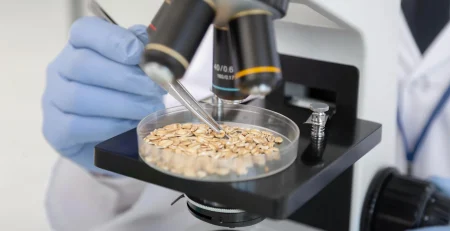 lab plasticware for food