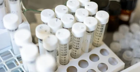 disposable labware