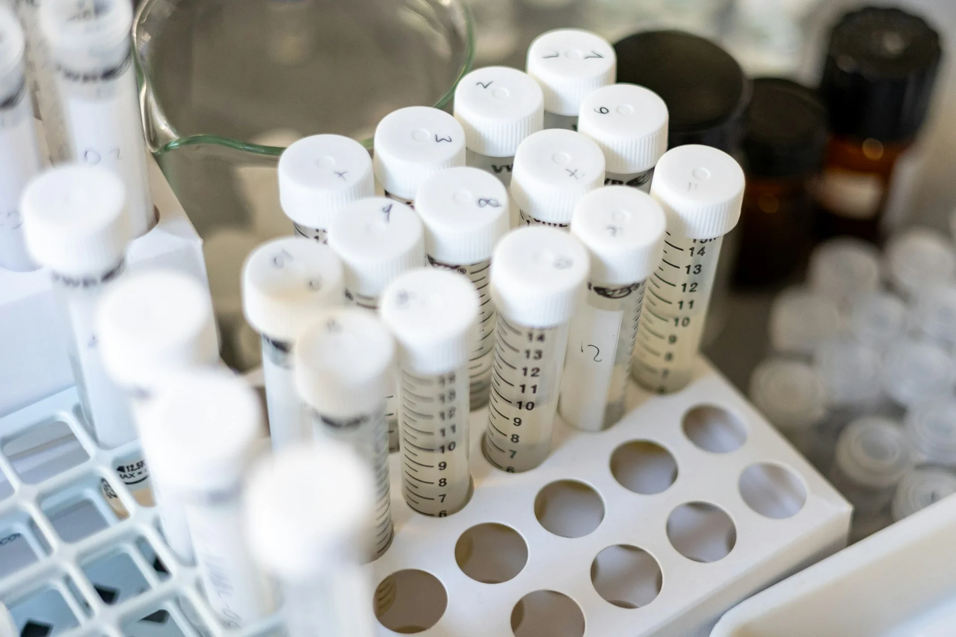 disposable labware