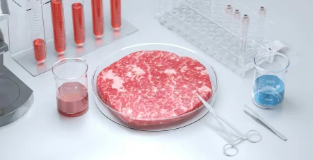 lab plasticware for food testing