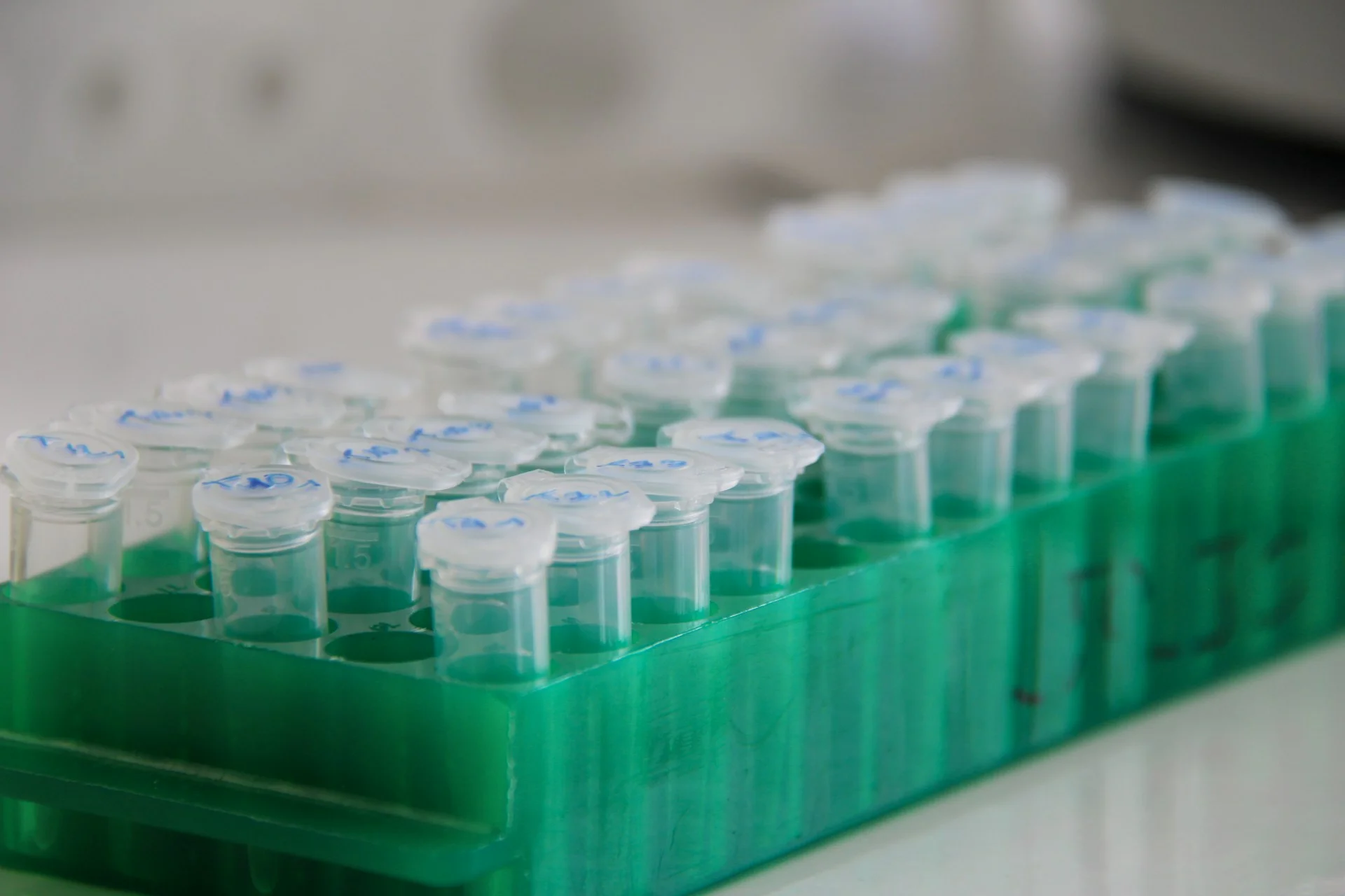 disposable labware