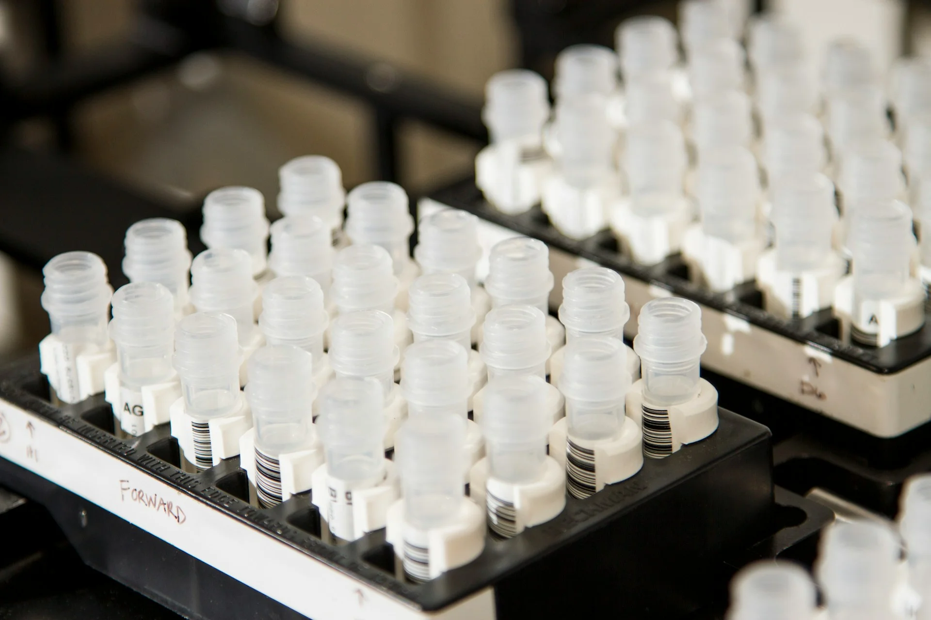 lab plasticware