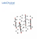 Molecular Model Set Cholesterol LabChoice Australia