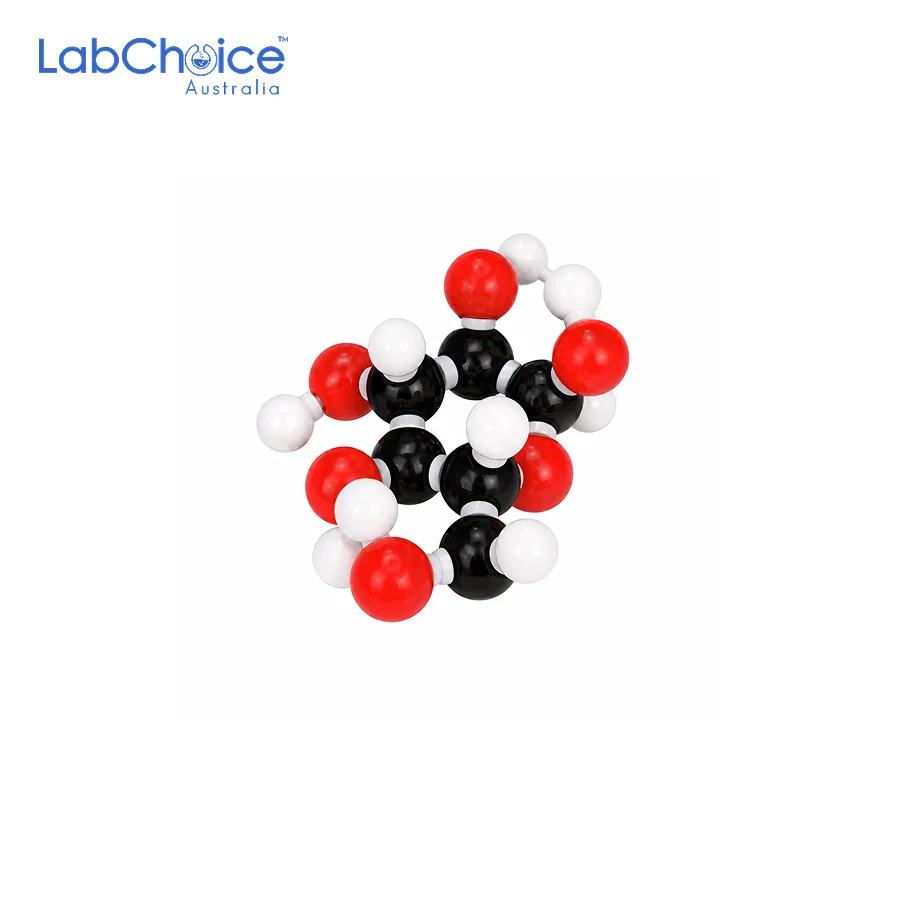 Molecular Model Set Glucose LabChoice Australia