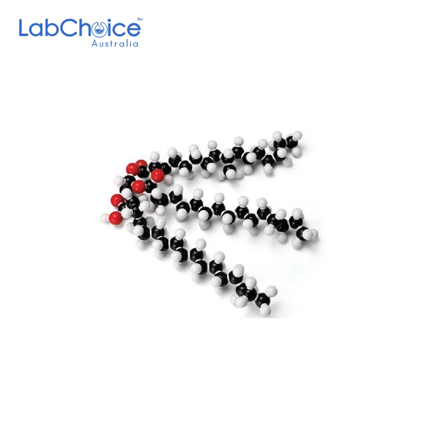 Molecular Model Set Glyceryl Tristearate Fat LabChoice Australia