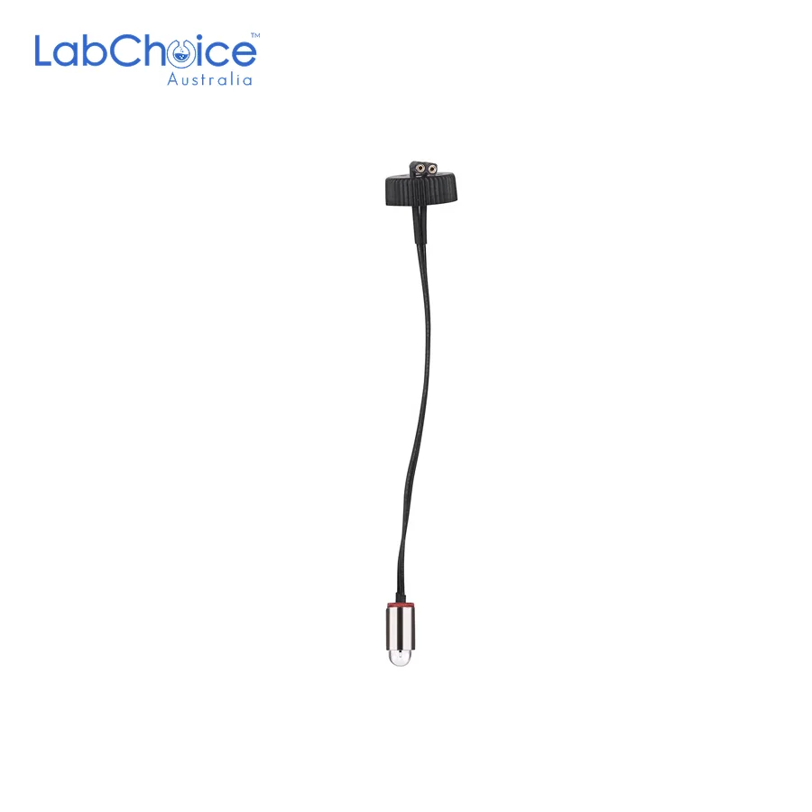 Tungsten Filament Lamp Replacement T500 5 LabChoice AU